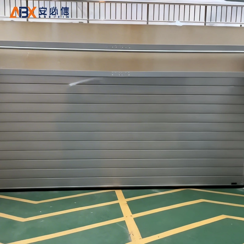 乐山雷达高速门